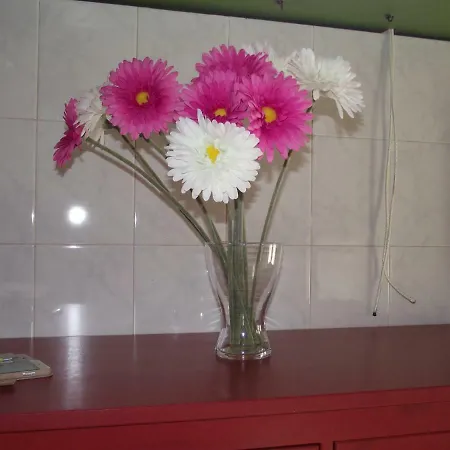A Casa Di Bitta فندق مبيت وإفطار *