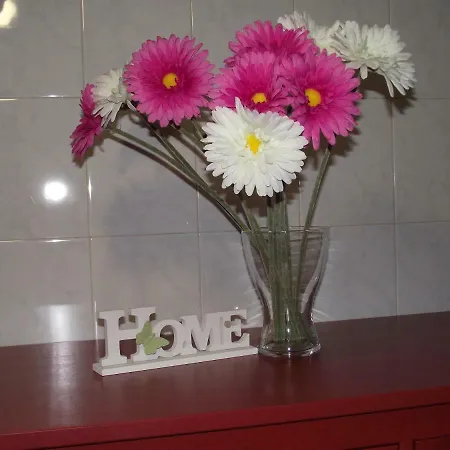 B&B A Casa Di Bitta 피사