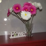 Nocleg ze śniadaniem A Casa Di Bitta Piza